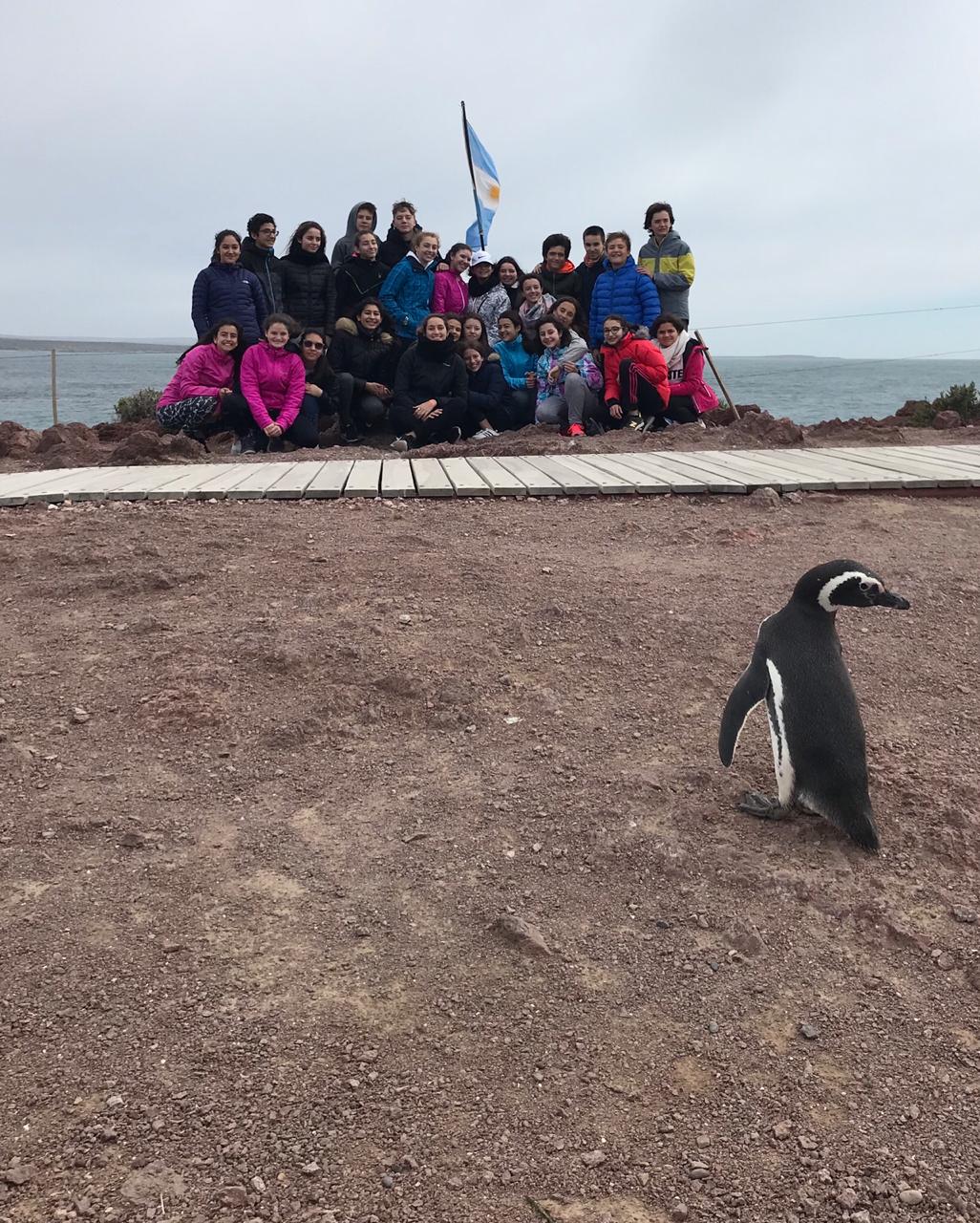 IMG-20181023-WA0015