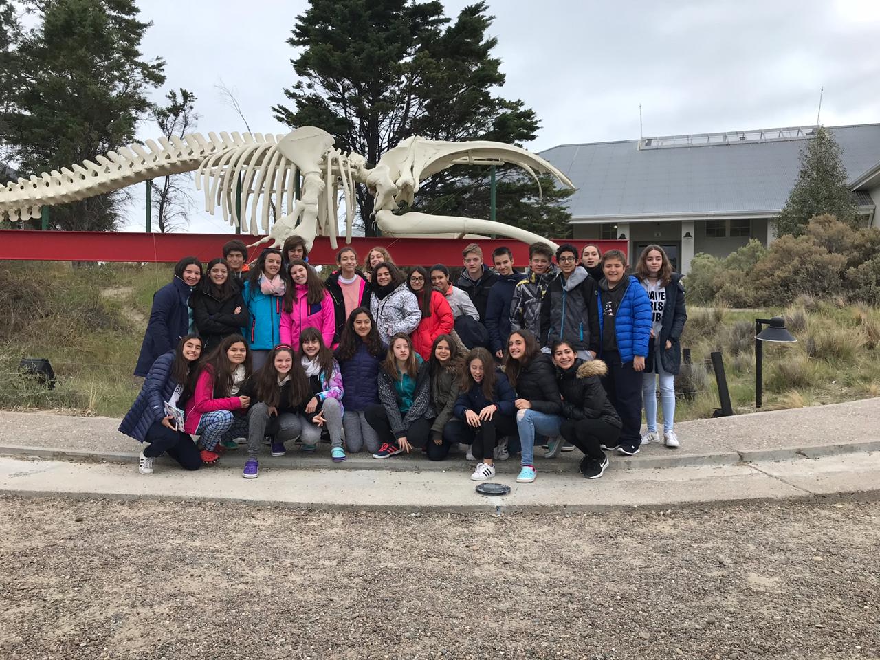 IMG-20181023-WA0018