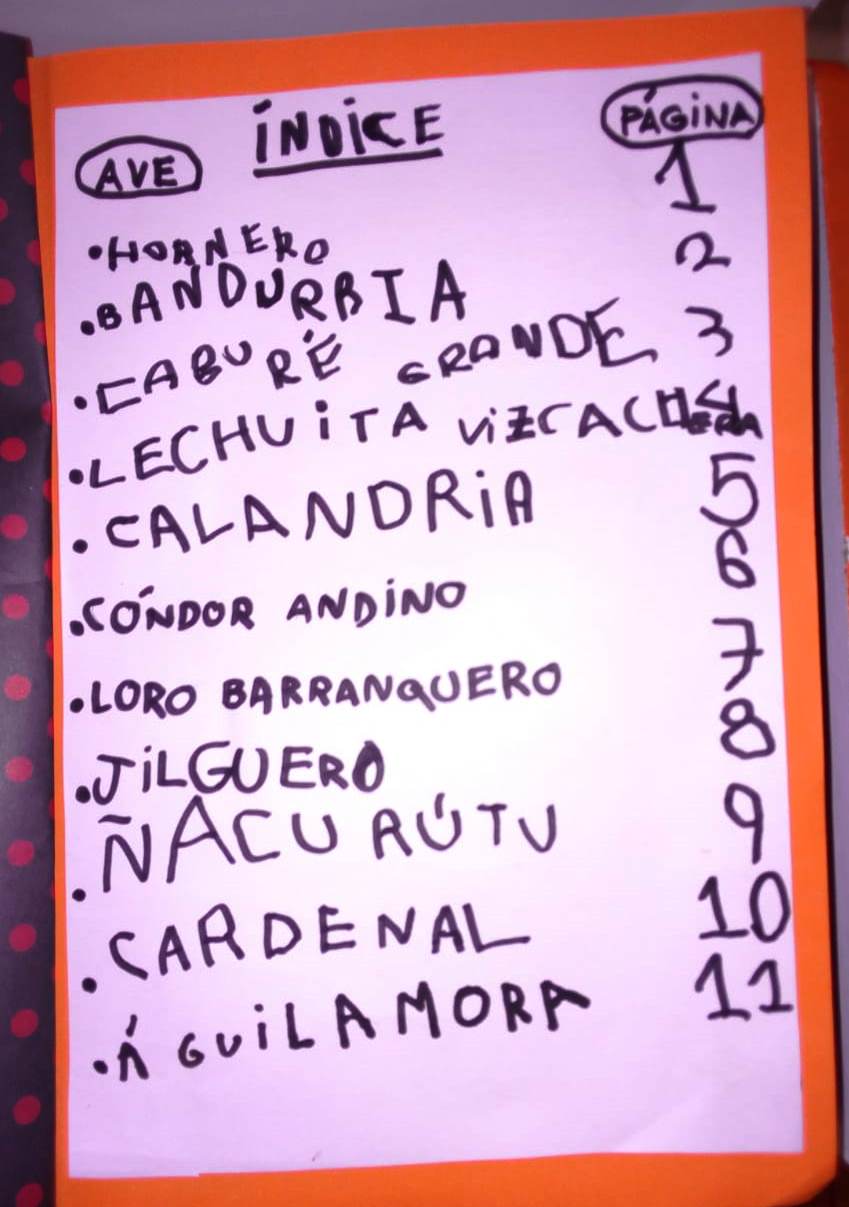 NEUQUEN3