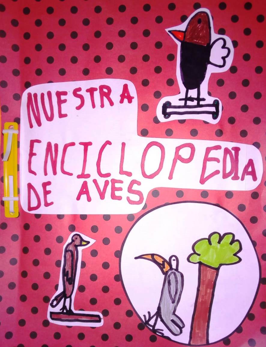 NEUQUEN4
